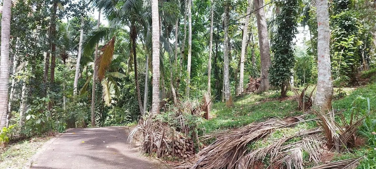 Windy Ridge Kandy Maison d'hôtes
